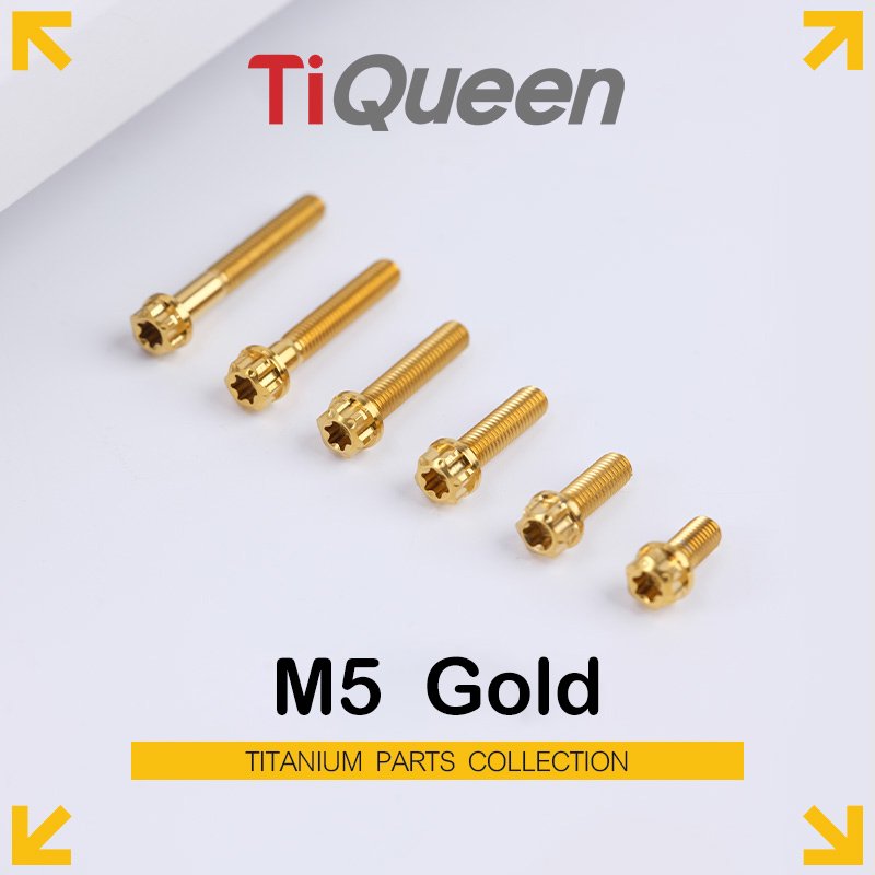 Ti Queen Regular Titanium Screws (Gold) M5 L06-95mm for Motorcycles and Bicycles/Car