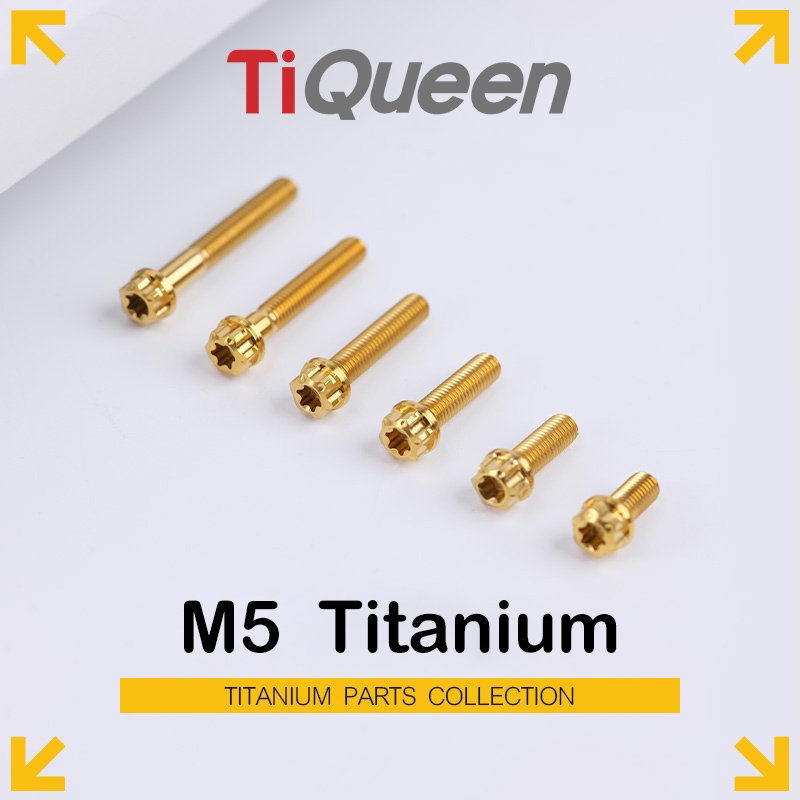 Ti Queen Regular Titanium Screws (Titanium) M5 L06-95mm for Motorcycles and Bicycles/Car